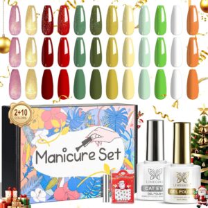 12-Color Christmas Cat Eye Complete Nail Kit - Gel Polish, Charms